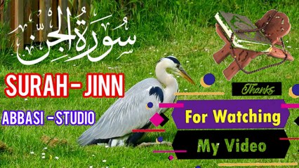 Most calming recitation of Surah Al-Jinn ‎سورۃ الجن Surat Al-Jinn (The Jinn) by Tilawat E Quran  Abbasi studio