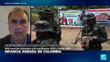 Luis Eduardo Celis: "Hay que contener a las guerrillas, pero los bombardeos causan muchos daños"