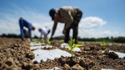 Beyond the myths: what labor trafficking really looks like in Nebraska