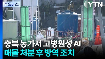 충북 영동 가금 농가 고병원성 AI 발생...매몰 처분 / YTN