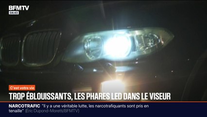 C'est votre vie - 19/11