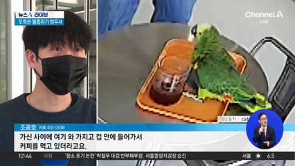 커피 도둑이 알고 보니 ‘멸종위기종’?