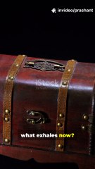 We Opened a 500-Year-Old Time Capsule…