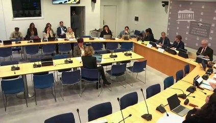 Commission des affaires européennes : Empêcher la ratification de l’accord entre l'Union européenne et le Mercosur - Mardi 18 novembre 2025