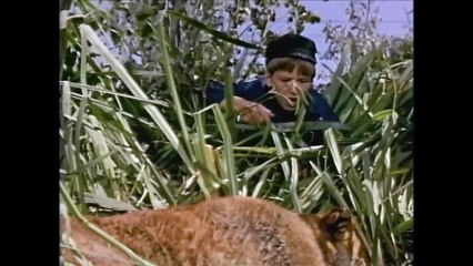 A Dog of Flanders | movie | 1959 | Official Trailer