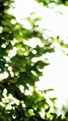 3 years marriedHis ex came backI leftHe regretted it,knelt 3 days at my place begging to remarry!