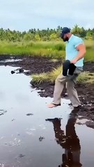 Epic Funny Video 😂😂😂 shorts viralshorts comedy funnymoments fails humor-1