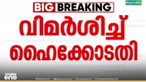 'പറഞ്ഞത് ഒന്നും നടന്നില്ലലോ'; ശബരിമലയിലെ തിരക്കിൽ വിമർശനമുമായി ഹൈക്കോടതി