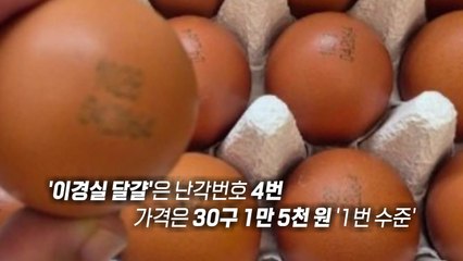 달걀 논란에 직접 입 연 이경실..."품질 월등" [앵커리포트] / YTN