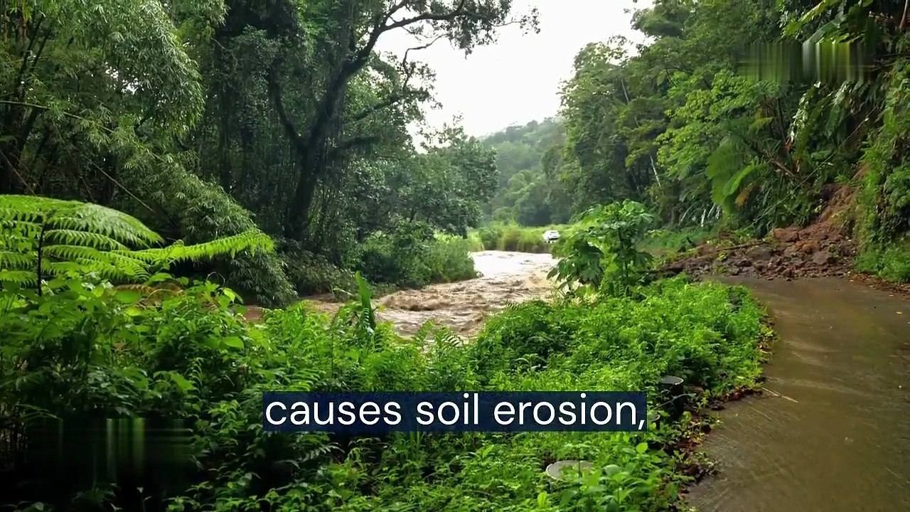 Environmental Impact & Solutions of Kaolin China Clay Mining