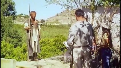 Little Bird (1997) | Pajarico | Full HD Movie | Spanish