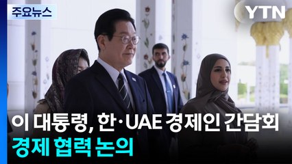 이 대통령, 한·UAE 경제인 행사 참석...곧 이집트로 출국 / YTN