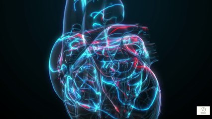 “Understanding Advanced Heart Disease in Seniors — Care, Comfort & Empowerment”