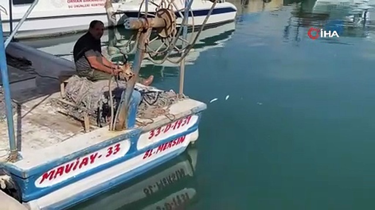 Göç etmeyip limanı mesken tuttular