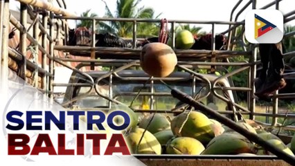 Maraming agricultural exports ng Pilipinas, exempted na sa reciprocal tariff ng U.S. | ulat ni Denisse Osorio