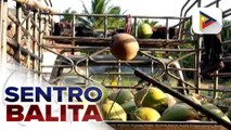 Maraming agricultural exports ng Pilipinas, exempted na sa reciprocal tariff ng U.S. | ulat ni Denisse Osorio