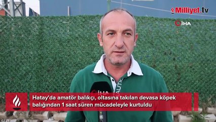 Amatör balıkçı şoke oldu! Dev canavar oltaya takılıp yüzeye çıktı: ‘Bu kadar büyüğünü görmedik’
