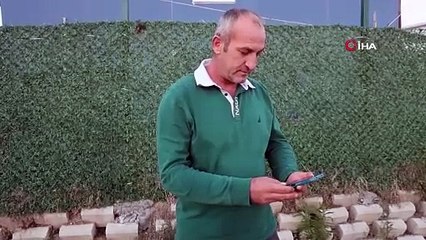 Hatay'da oltaya takılan dev köpek balığı balıkçıları korkuttu