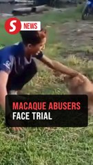 Duo in court over alleged macaque abuse