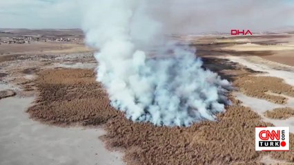 Kuş cenneti Gökgöl sazlıkları alev alev yanıyor