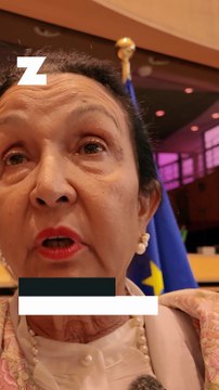 Fonds européens : sous couvert de simplification, nos particularités et nos spécificités pourraient être effacées