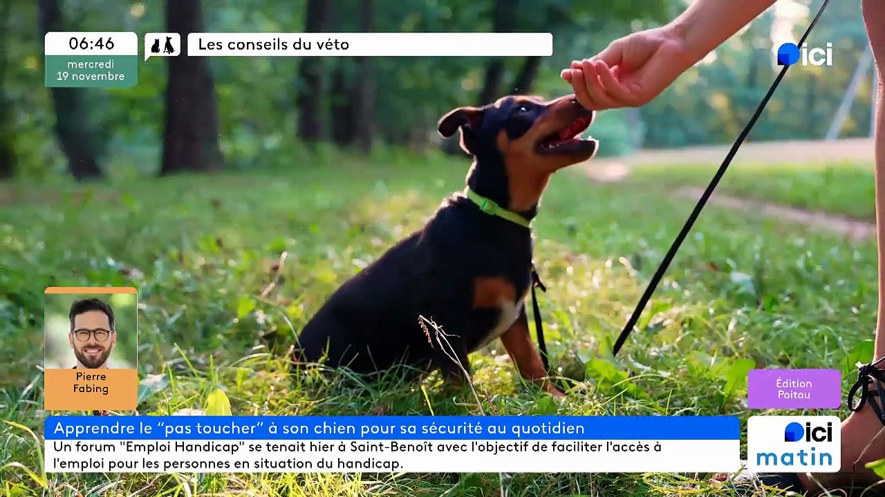 19/11/2025 - ici matin par ici Poitou en vidéo