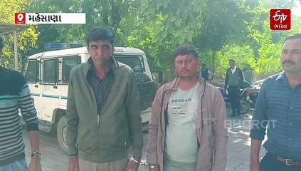 'મ્યુલ એકાઉન્ટ'ના કૌભાંડનો પર્દાફાશ, રૂ. 8.37 કરોડથી વધુનું ટર્નઓવર: મહેસાણાથી બે આરોપી ઝડપાયા