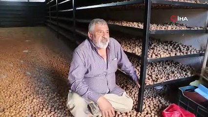 Ceviz üretimiyle Avrupa’daki maaşından daha çok kazanıyor