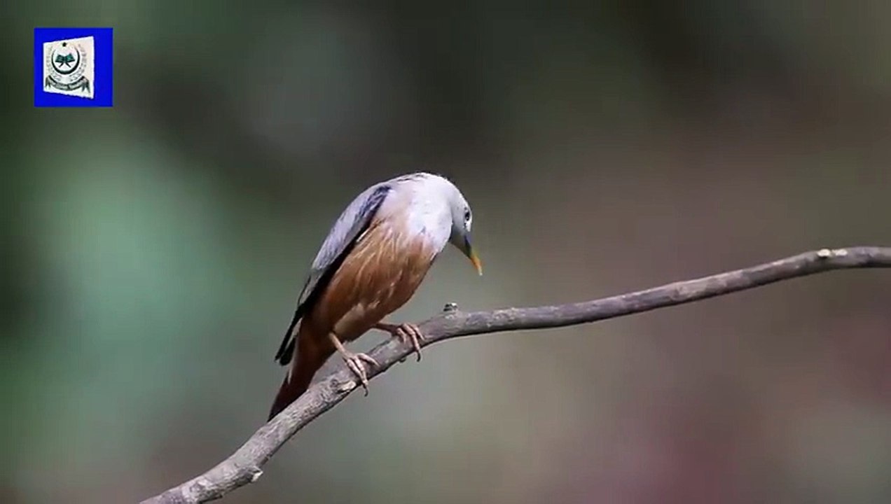 Surah E Hashr Urdu Tarjuma K Sath - Surah Hashr With Urdu Translation _ Home Quran Teaching _