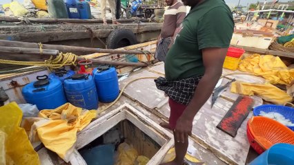 Gulf Deep Blue Hunt — Landing a Powerful Ocean Giant