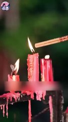 his mute rose chinese drama