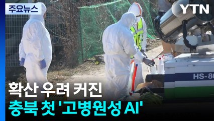 확산 우려 커진 '고병원성 AI'...충북 가금 농가 첫 발생 / YTN