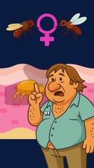 La gale : quand ta peau devient un terrier ! #gale #parasite #animaux #nature #humour