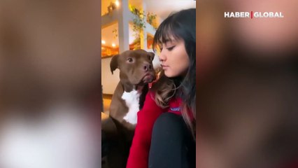 Sahibi tarafından öpülen köpeklerin verdiği tepkiler akımı viral oldu