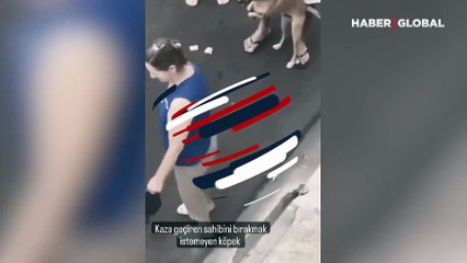 Kaza geçiren sahibini yalnız bırakmayan köpek duygulandırdı