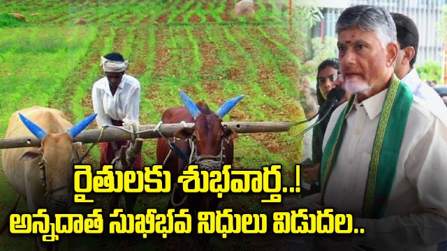 CM Chandrababu: అన్నదాత సుఖీభవ నిధులు విడుదల చేసిన చంద్రబాబు | Oneindia Telugu