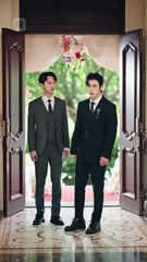 حبيبة الطفولة تخطف القلوب