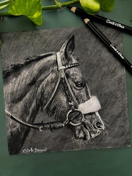 Dessin réaliste d’un cheval réalisé à la pierre noire #dessin #art #cheval