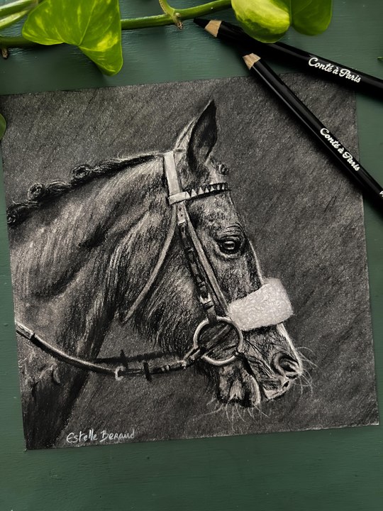 Dessin réaliste d’un cheval réalisé à la pierre noire #dessin #art #cheval