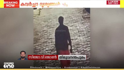 ശബരിമല തീർഥാടകന്റെ മാല കവർന്നുകൊണ്ടു പോകുന്ന ദൃശ്യങ്ങൾ പുറത്ത്