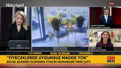 Böcek ailesinin ölümü: Yedikleri temiz çıktı
