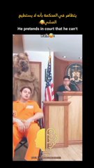 “Your Daily Dose of What’s Trending”