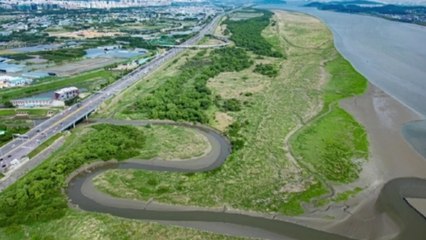 [경기] 고양시, 장항습지 선버들 활용 양봉 시범사업 추진 / YTN