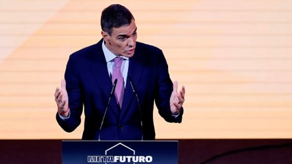 Sánchez anuncia que Meta tendrá que "rendir cuentas" en el Congreso