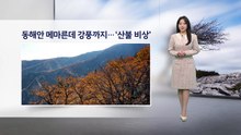 [이슈 날씨] 동해안 메마른데 강풍까지.. '산불 비상', 내일 계절 다시 제자리 / YTN