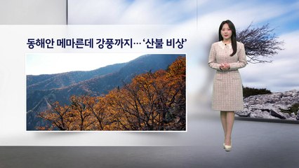 [이슈 날씨] 동해안 메마른데 강풍까지.. '산불 비상', 내일 계절 다시 제자리 / YTN