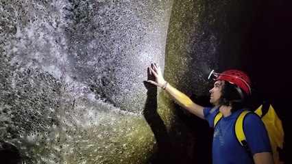 Mais de 100 mil aranhas descobertas em teia gigante numa gruta grega