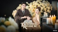 (Dubbed) Reunion Destined (Shortmax)