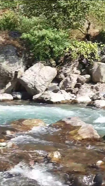 cast net fishing in Nepal | himalayan trout fishing with handmade cast net |