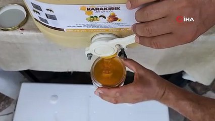 Türkiye’nin AB tescilli 43’üncü ürünü Yenice ıhlamur balı oldu